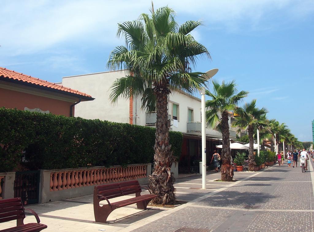 Hotel Aurora Marina di Cecina Buitenkant foto